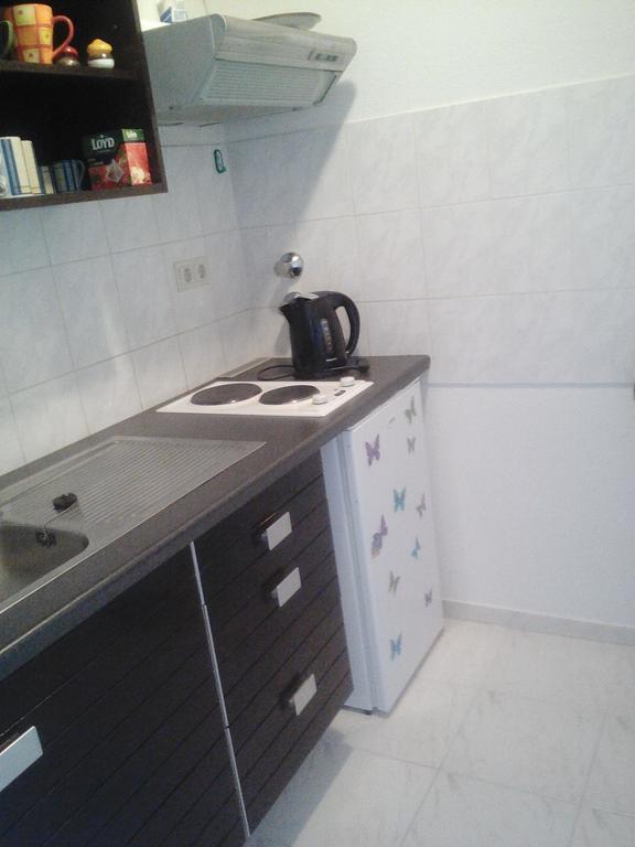 Apartmanydanielova Ceska Lipa Exterior photo