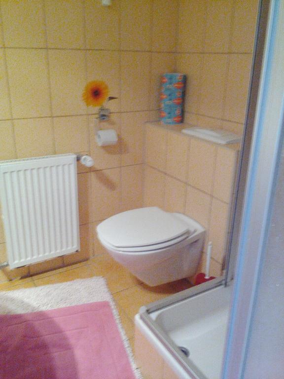 Apartmanydanielova Ceska Lipa Exterior photo